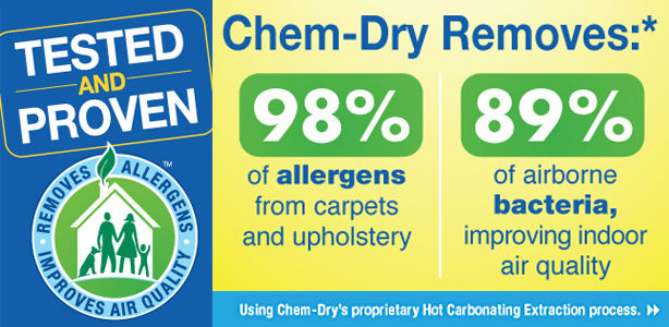 low allergen cleaning results