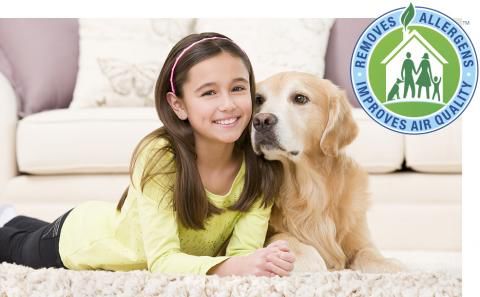 nontoxic carpet cleaning